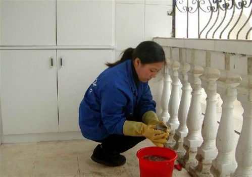 深圳醫(yī)姆健康管理 打造全方位健康服務新標桿